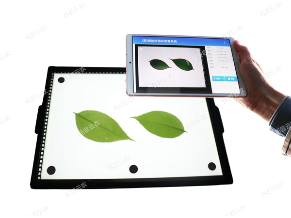 智能葉面積測(cè)量系統(tǒng)