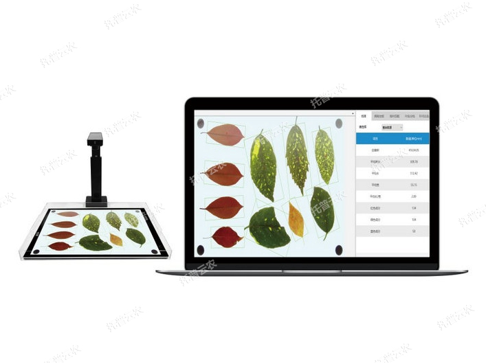 高通量葉面積分析系統(tǒng)